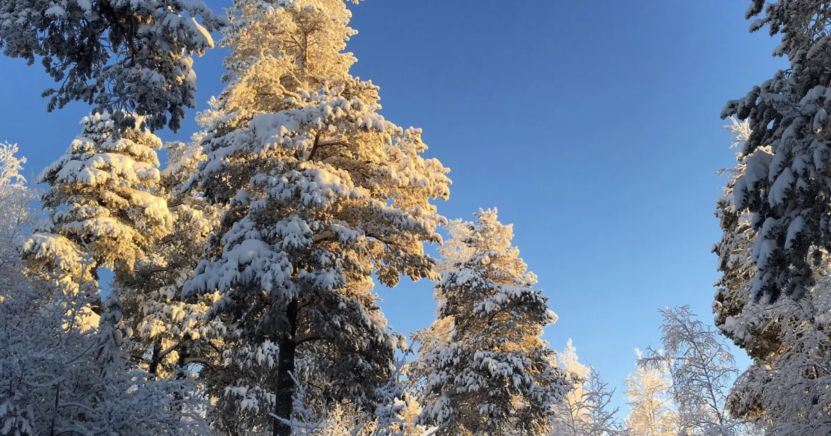 Ноябрьск — вид аэропорта